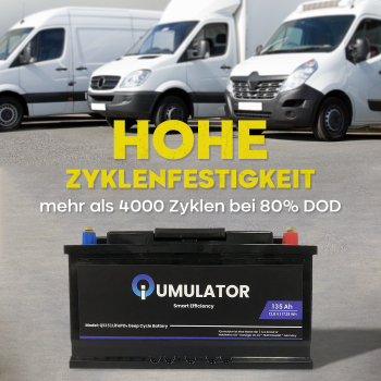 Q100 batteriepole