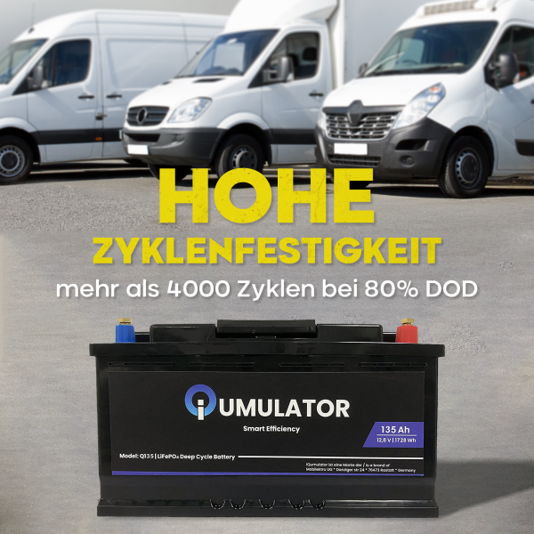 Q100 batteriepole